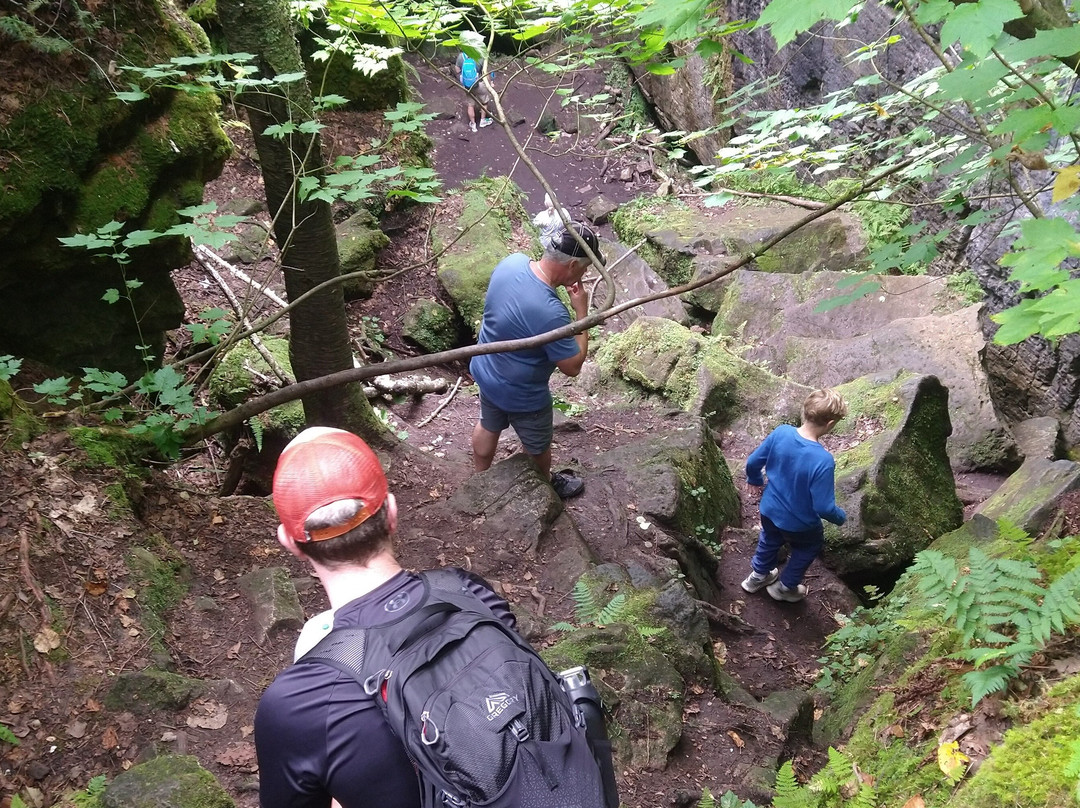 Step it Up Adventures-科林伍德必去景点