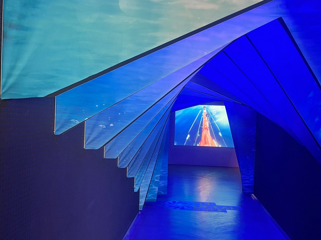 Museo The Ocean Race-阿利坎特省必去景点
