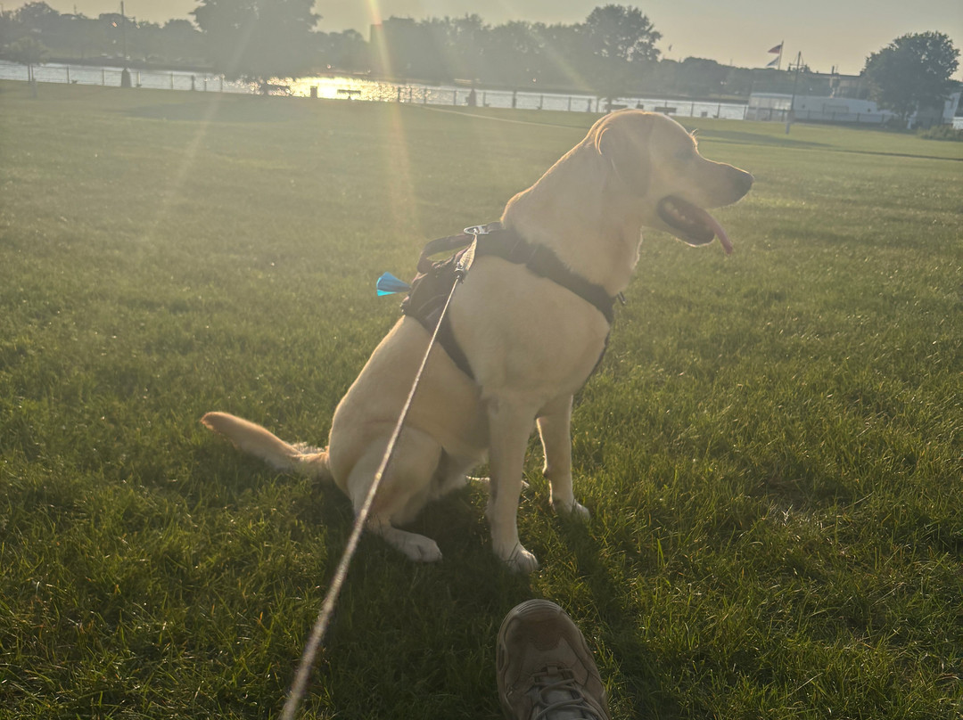 贝城河滨希尔顿逸林酒店主图