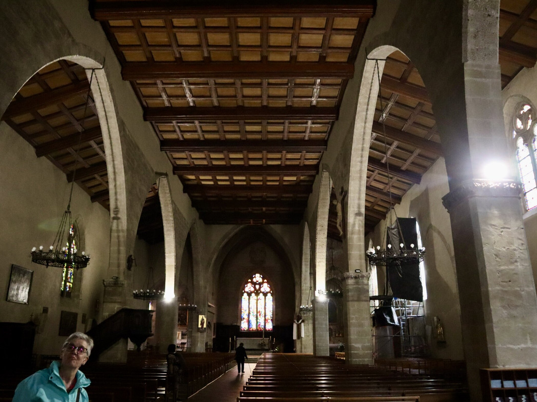 Collegiale Saint Julien-图尔农必去景点