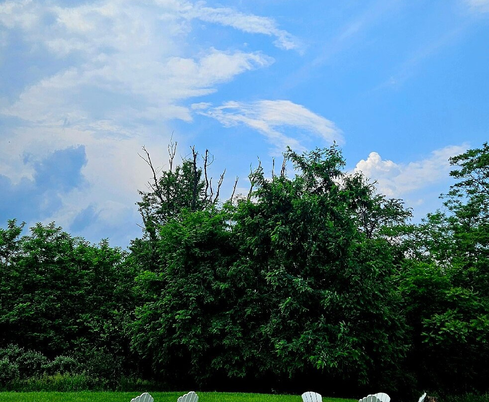 James Charles Winery & Vineyard-温切斯特必去景点