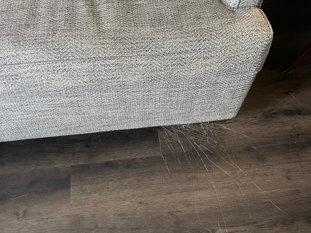 Embassy Suites by Hilton Birmingham Hoover主图