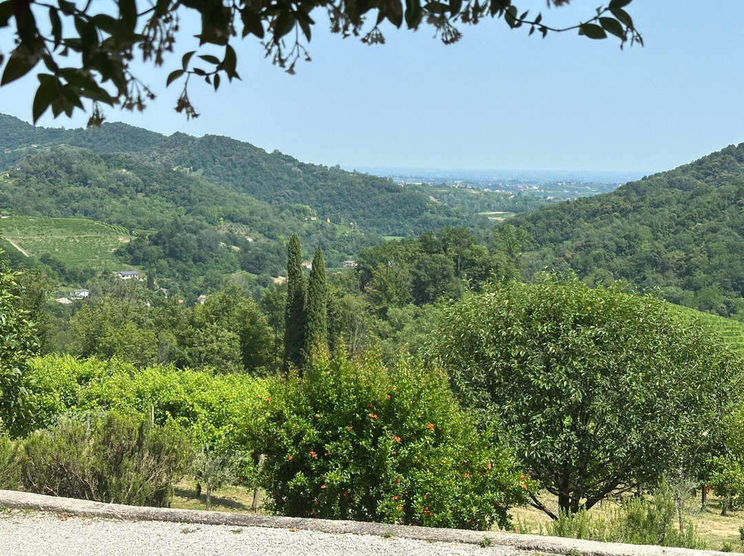 Ville d'Arfanta-Arfanta必去景点