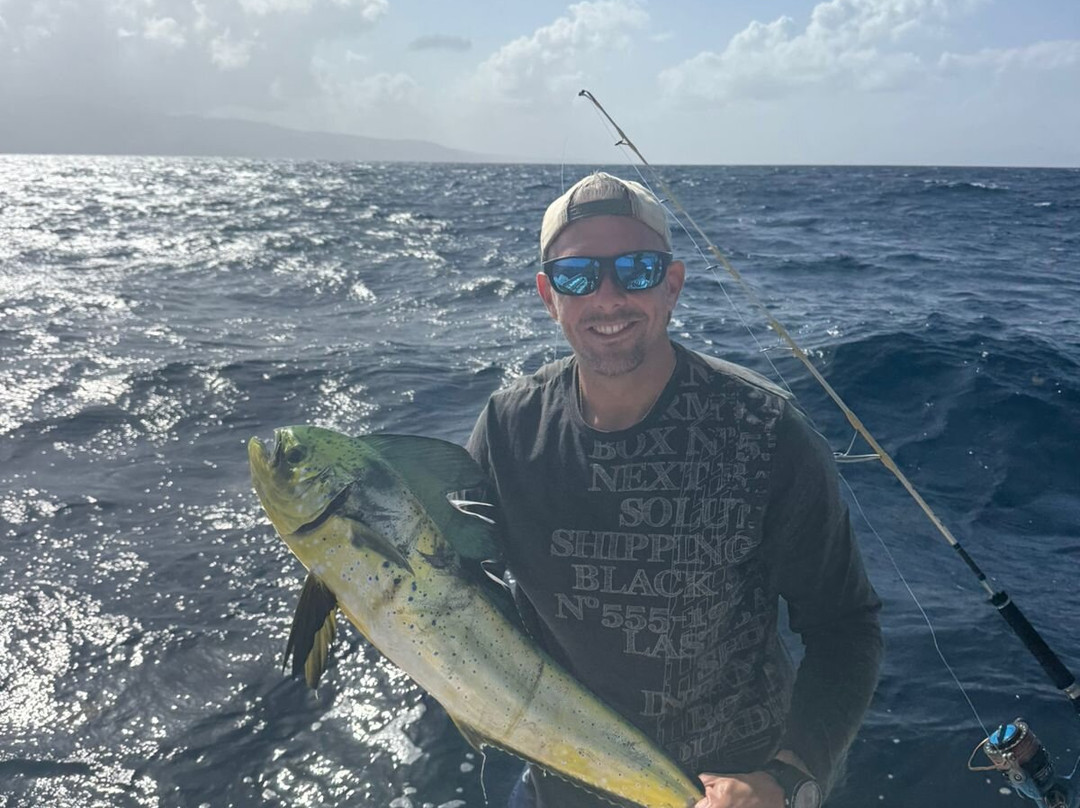 Carib Evasion-Case-Pilote必去景点