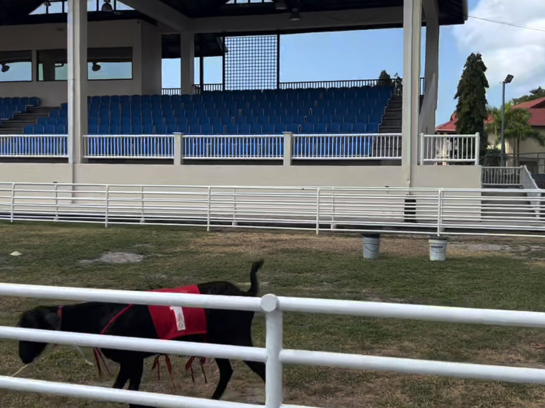 Goat Race Stadium-Buccoo必去景点