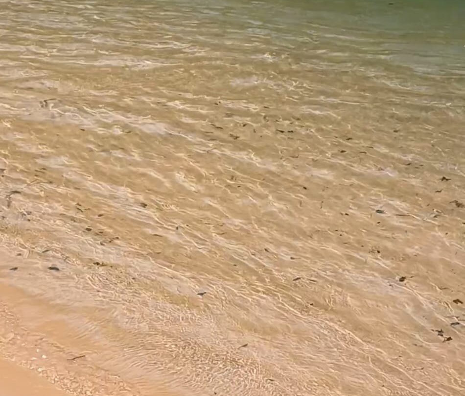 Balneário Dourado-Aurora do Tocantins必去景点