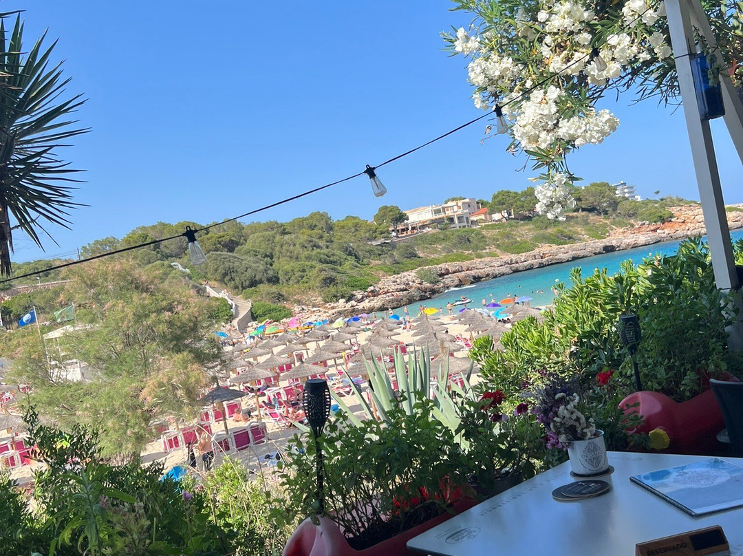 Mallorca Cecilia Apartamentos主图