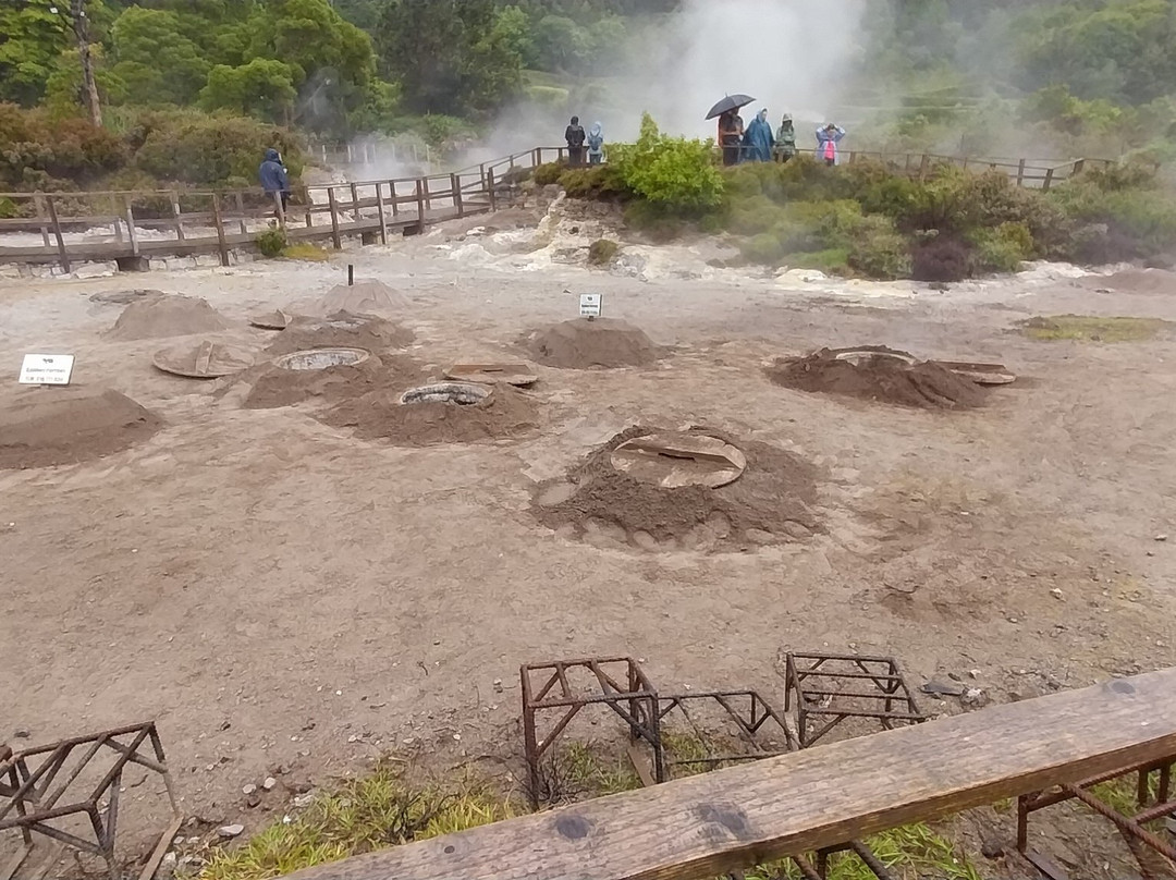 Follow Me Guided Tours-蓬塔德尔加达必去景点