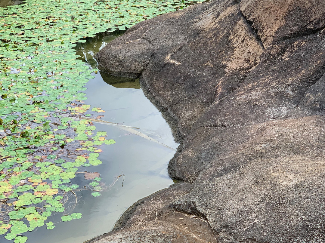Anaina Hou Community Park-基拉韦厄必去景点