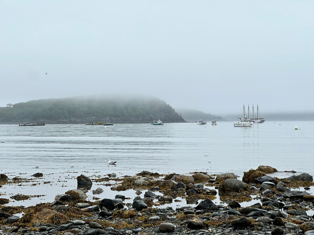 Land Bridge to Bar Island-巴港必去景点