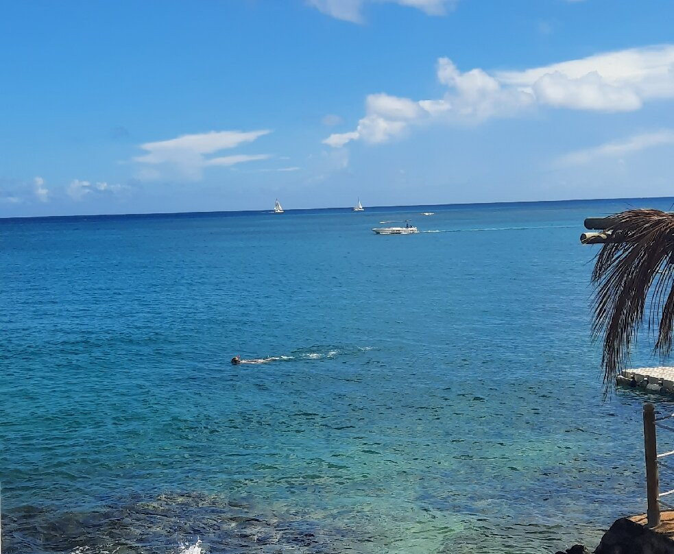 Orca Dive Club - Pereybere-Pereybere必去景点