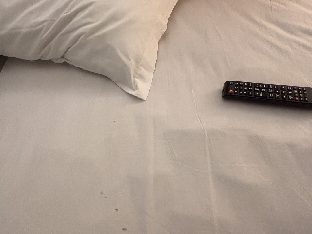 Transamerica Executive Fernandópolis主图