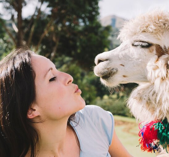 Parabens Machupicchu