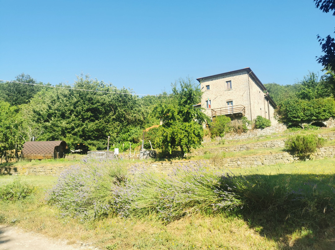 Rifugio Casa Santicchio主图