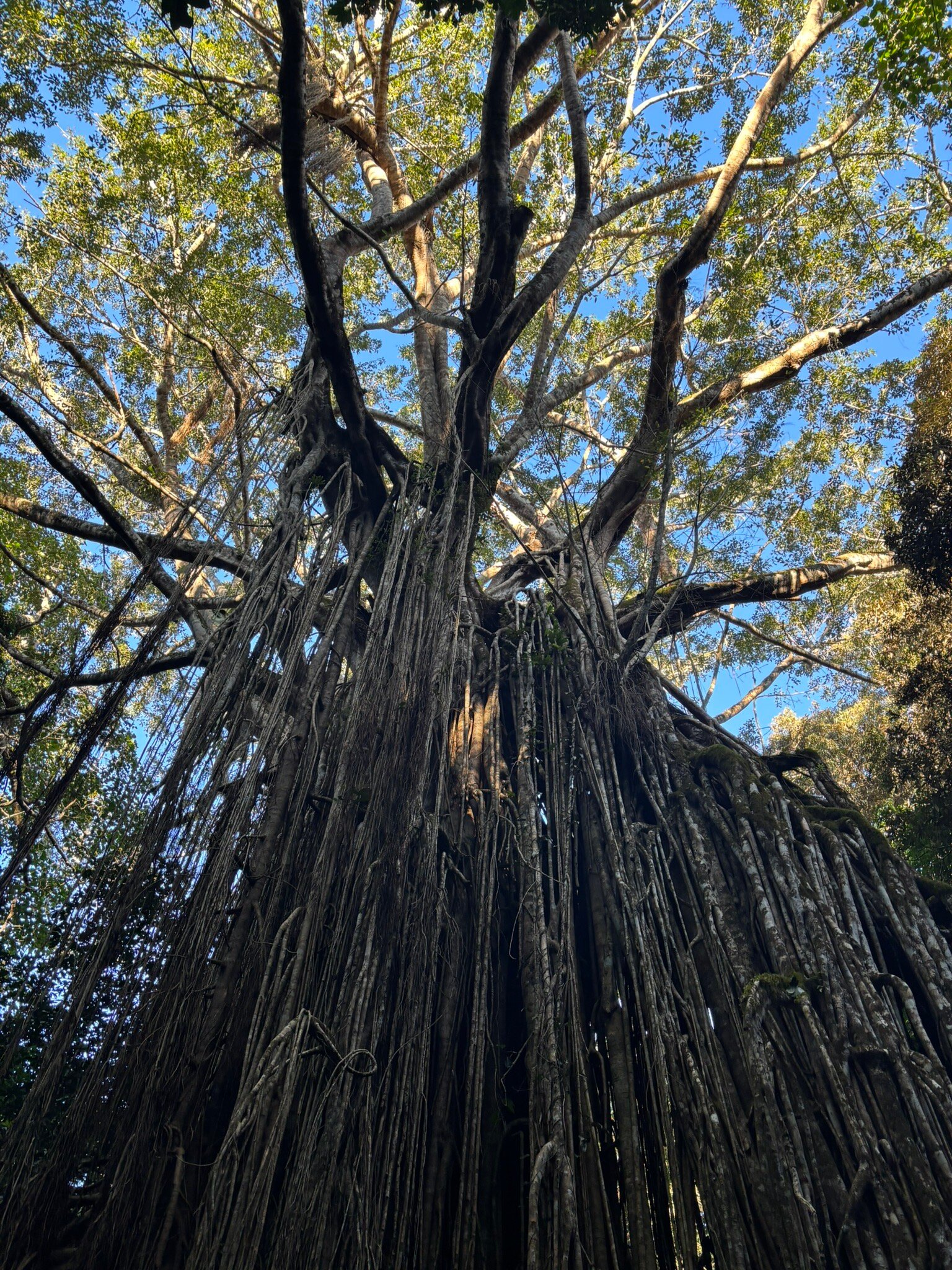 Eden House Retreat-官方