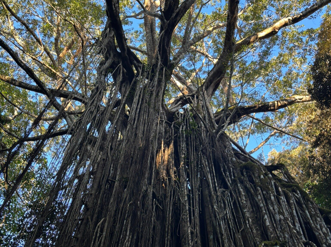 Eden House Retreat主图