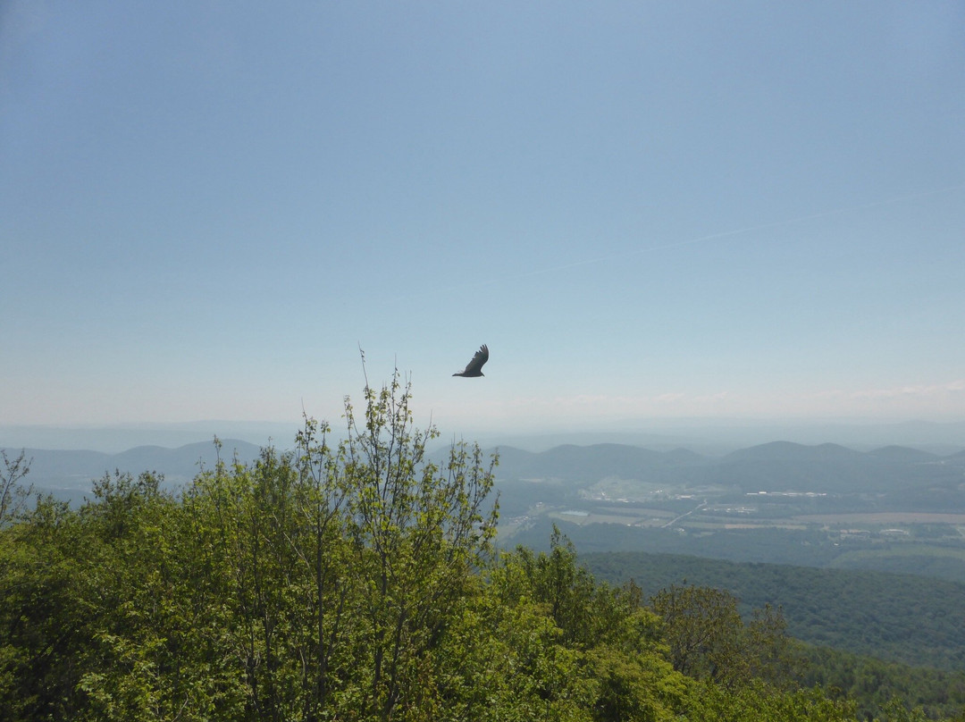 Dans Rock Scenic Overlook-Midland必去景点
