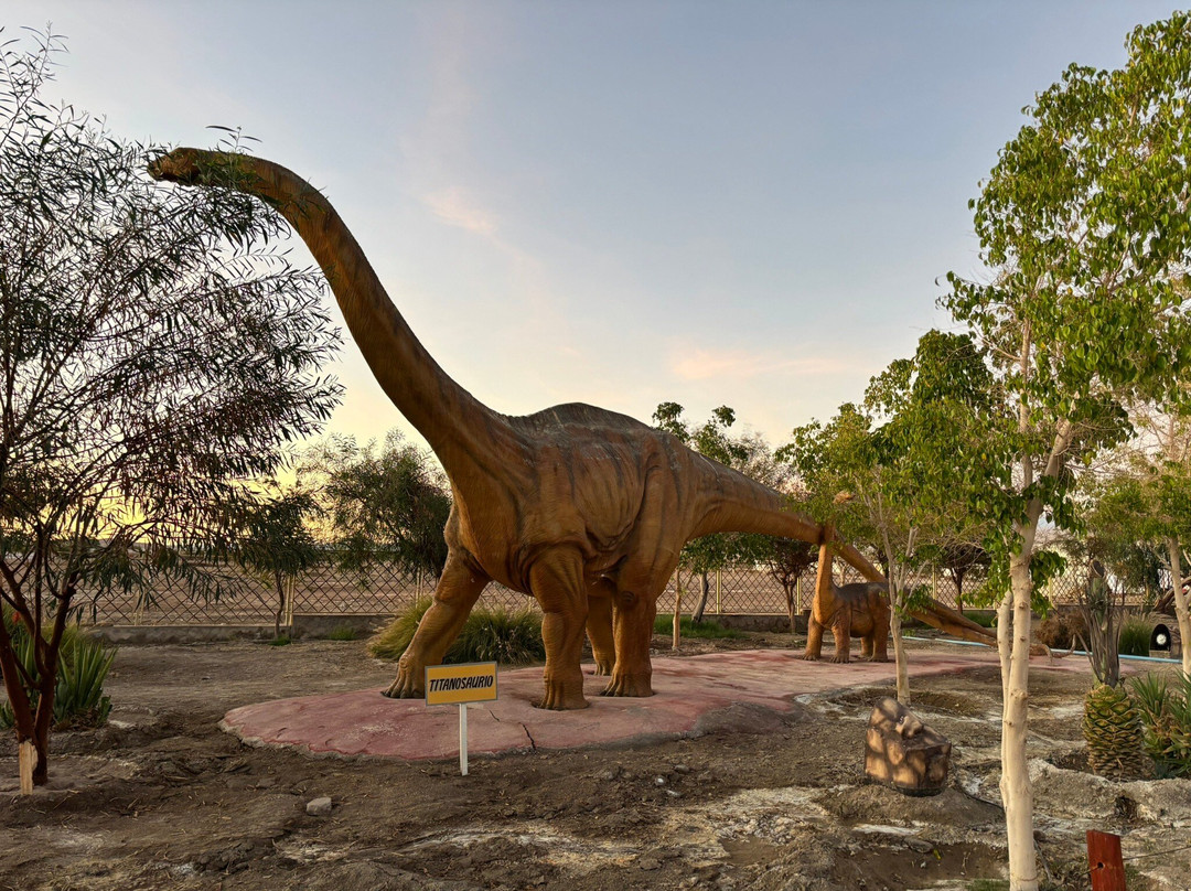 Valle de Los Dinosaurios-Pica必去景点