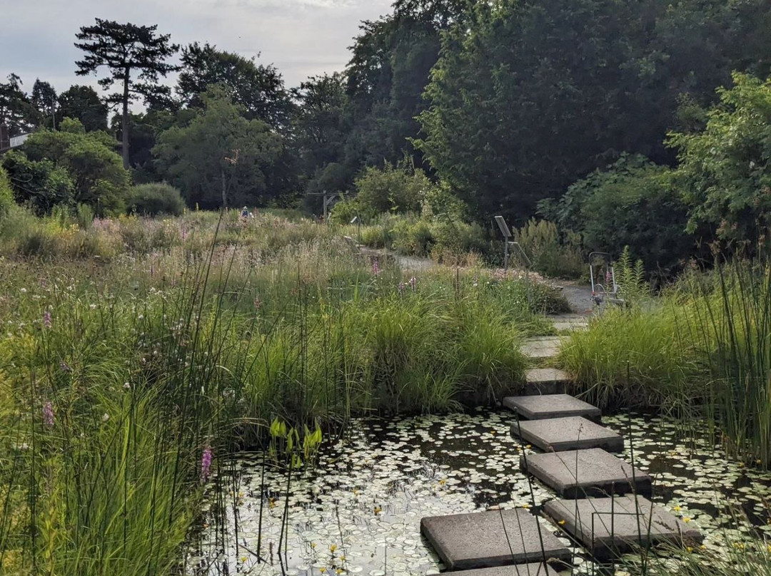 Botanischer Garten-哥廷根必去景点
