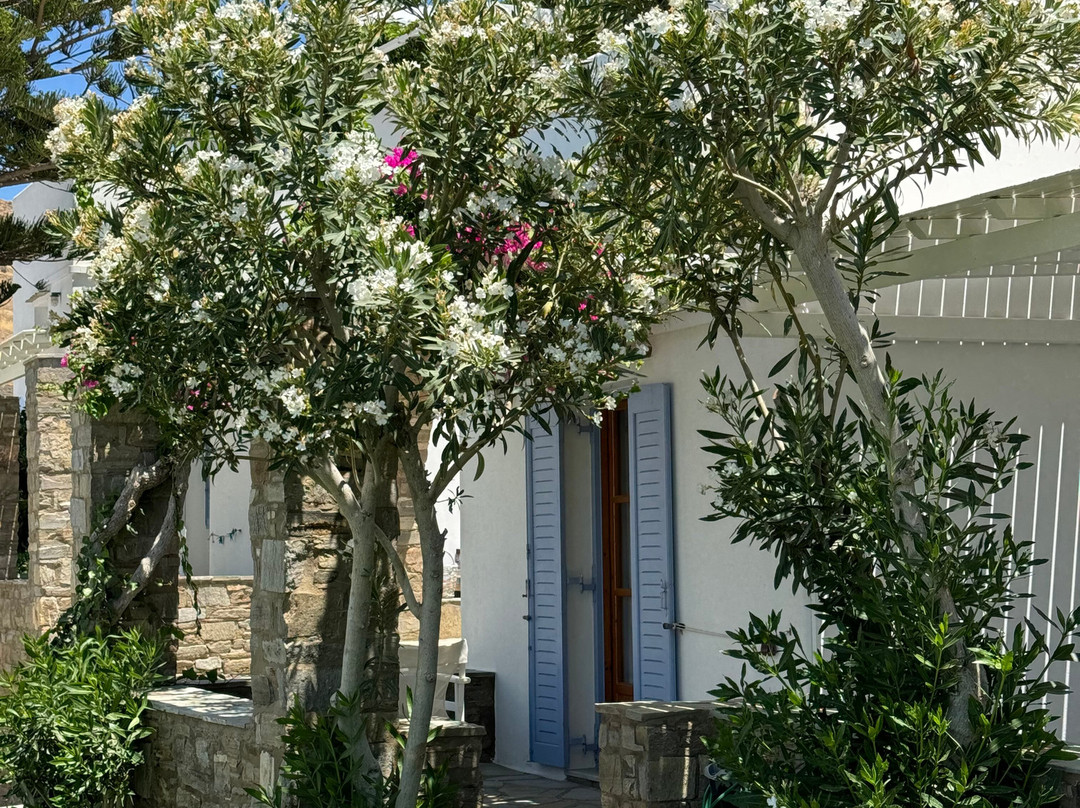 Elena Studios & Apartments主图