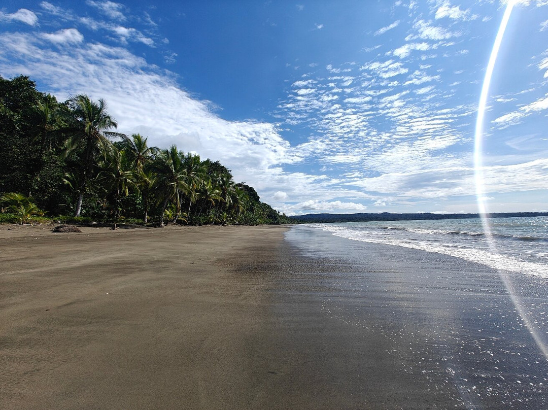 Playa De Guachalito-Nuqui必去景点