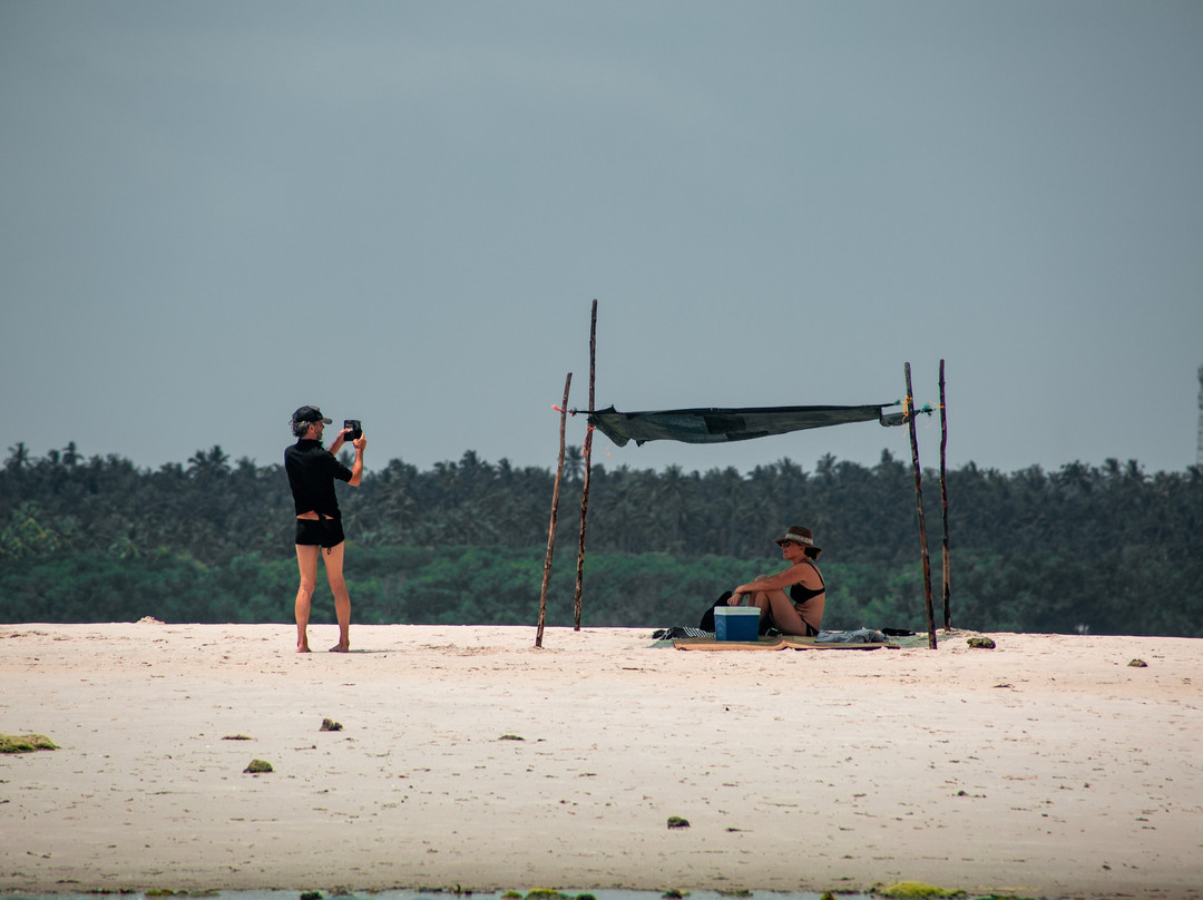 Safari Shwari Mafia Island-Utende必去景点