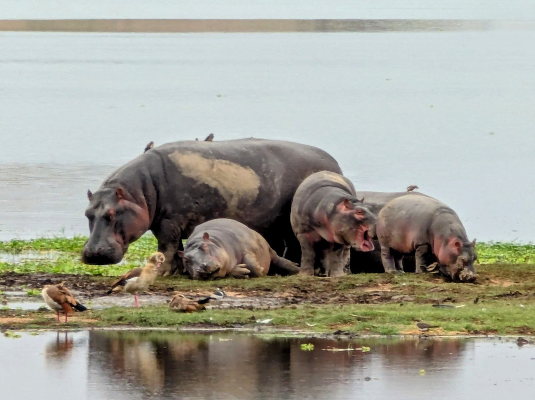 Africa Vision Safaris Tours and Travel-内罗毕必去景点