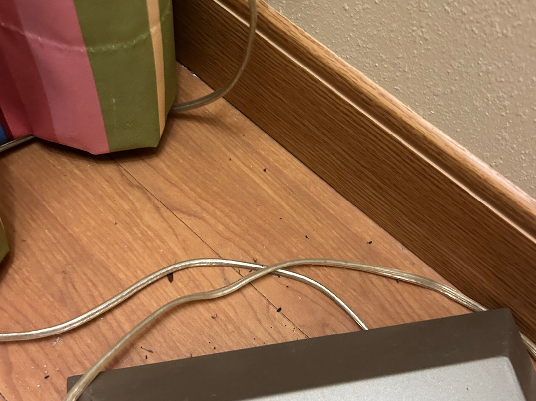 Kentucky Dam Village State Resort Park - Lodging主图