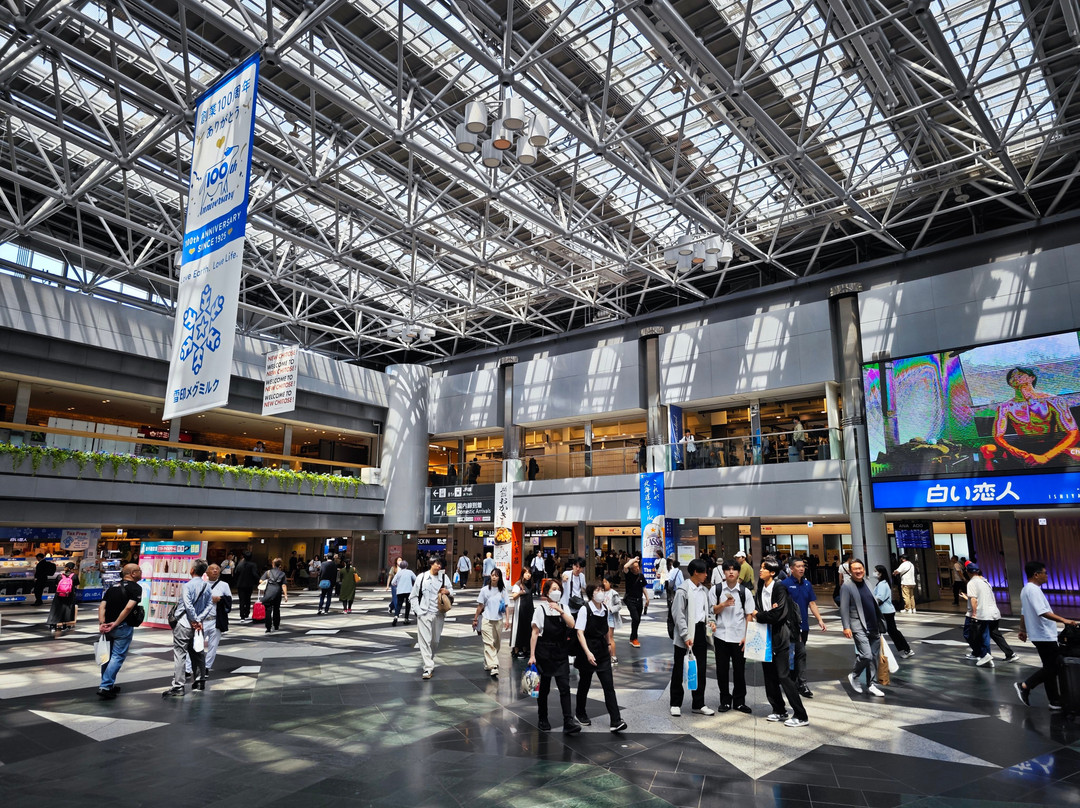 New Chitose Airport Terminal-千岁市必去景点