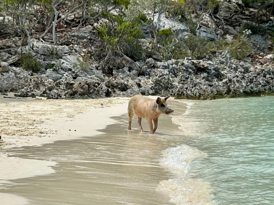 G. Sea Adventures-George Town必去景点