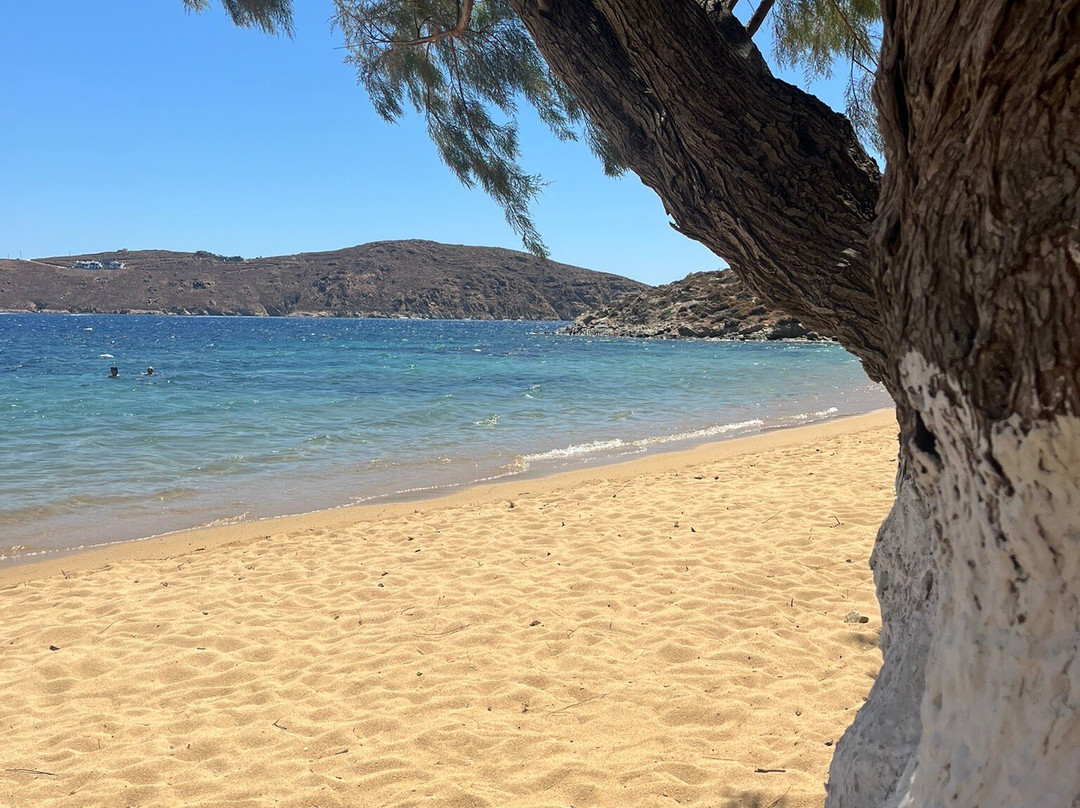 Nautilus Serifos主图