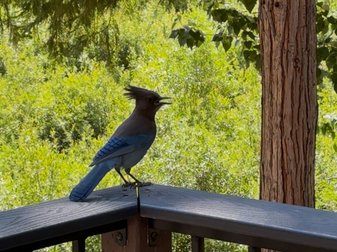 优胜美地大溪住宿加早餐旅馆主图