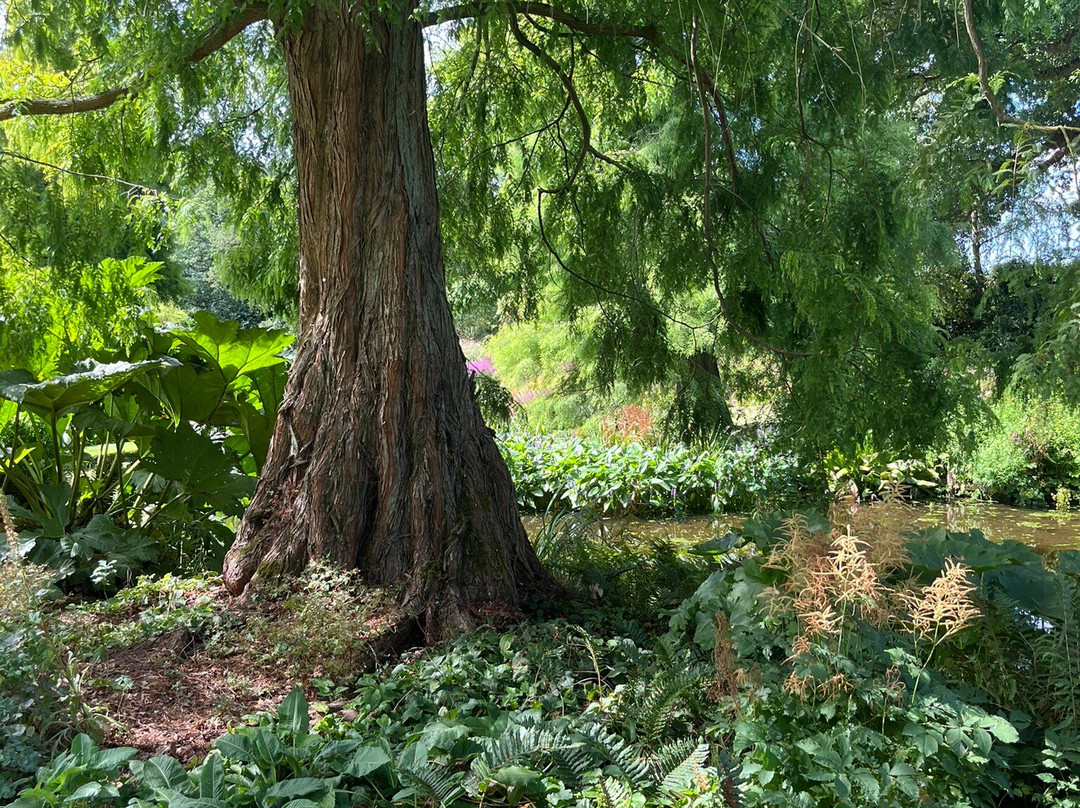Beth Chatto's Plants & Gardens-科尔切斯特必去景点