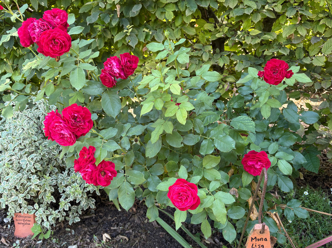 Les jardins du Coq-Montignac-le-Coq必去景点