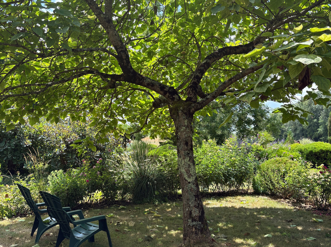 Les jardins du Coq-Montignac-le-Coq必去景点