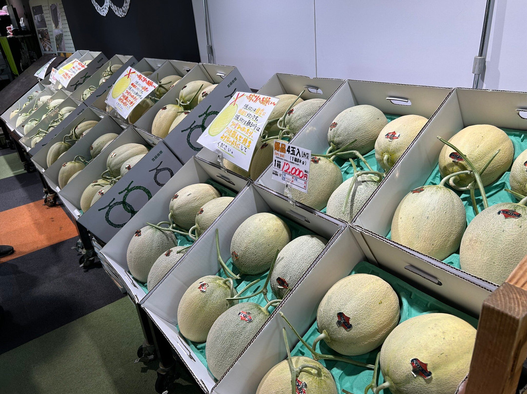 Michi-no-Eki Yubari Merode-夕张市必去景点