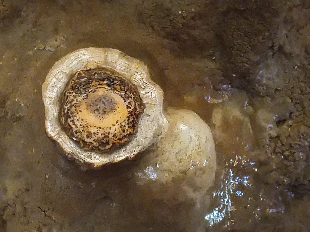 Jacob's Cave-Versailles必去景点