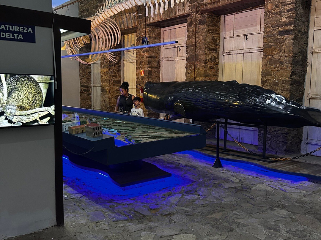 Museu Do Mar Delta Do Phb-Parnaiba必去景点