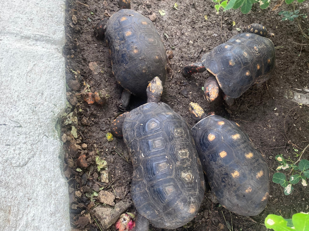 Legend Garden Condos主图