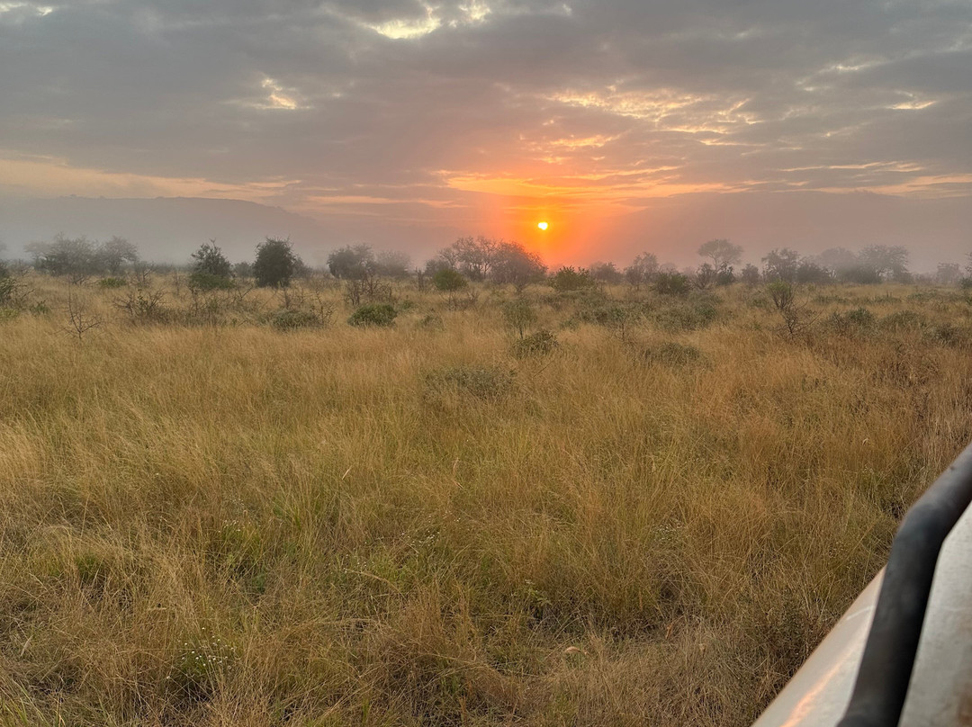 Tsavo East National Park-查佛必去景点
