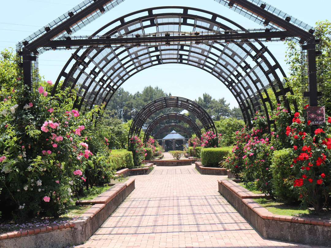 Suwa Park-大牟田市必去景点