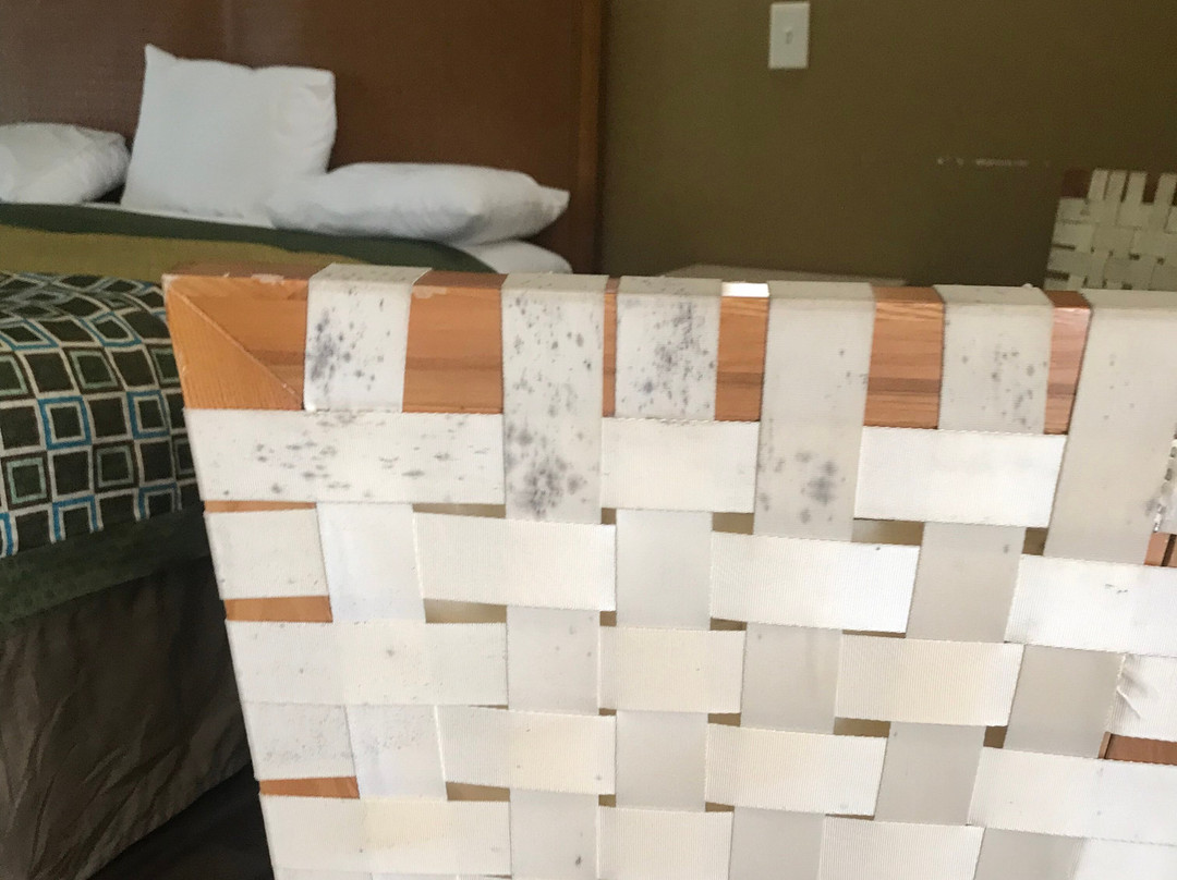 Warm Mineral Springs Motel主图