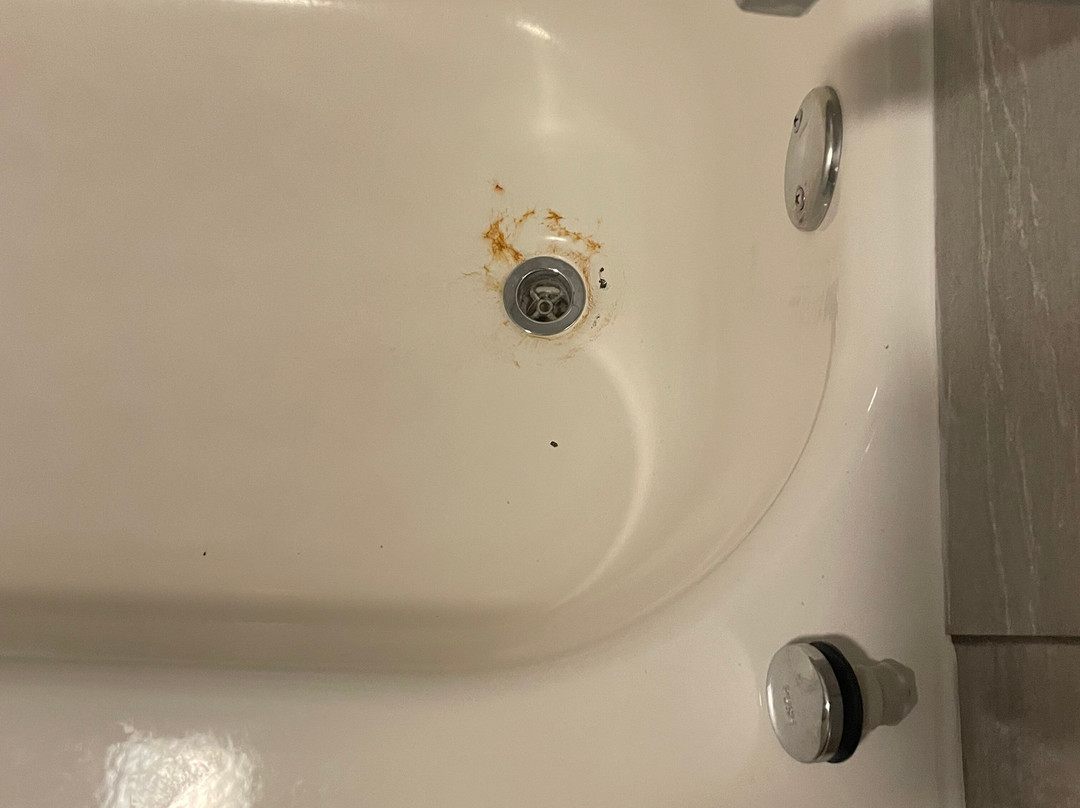 Best Western Plus Flint Airport Inn & Suites主图