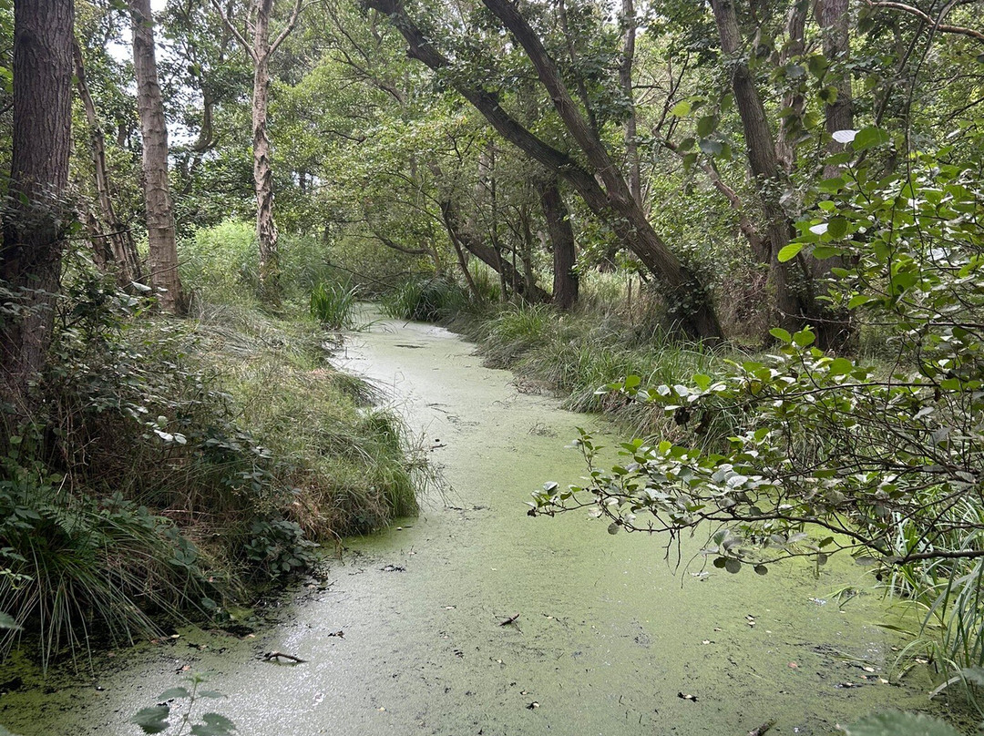 RSPB Minsmere-Westleton必去景点