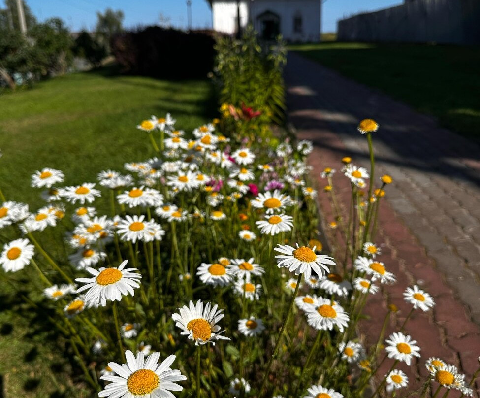 Temple of the Twelve Apostles-Kholmogory必去景点