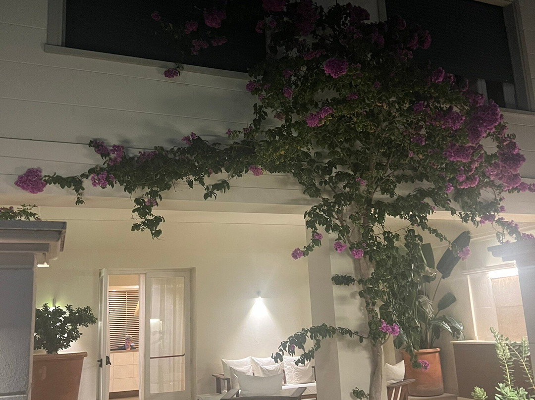 马提尼别墅酒店主图