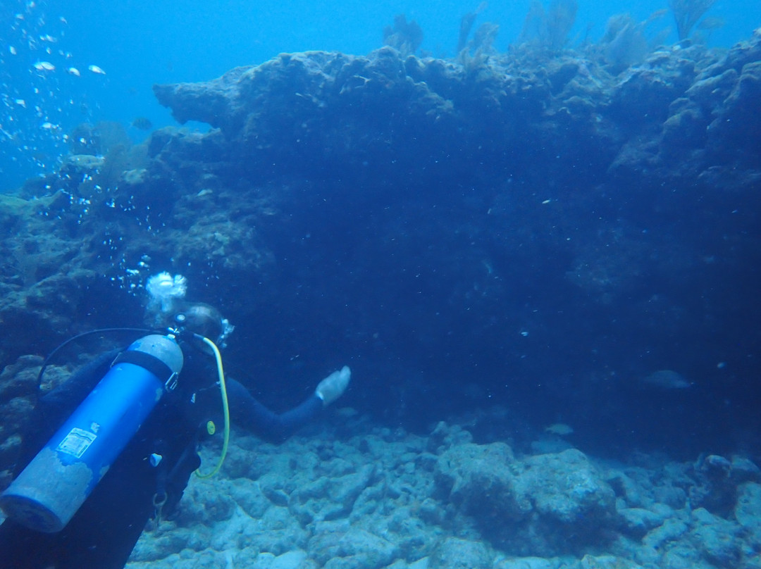 Blue Water Divers-拉哥岛必去景点
