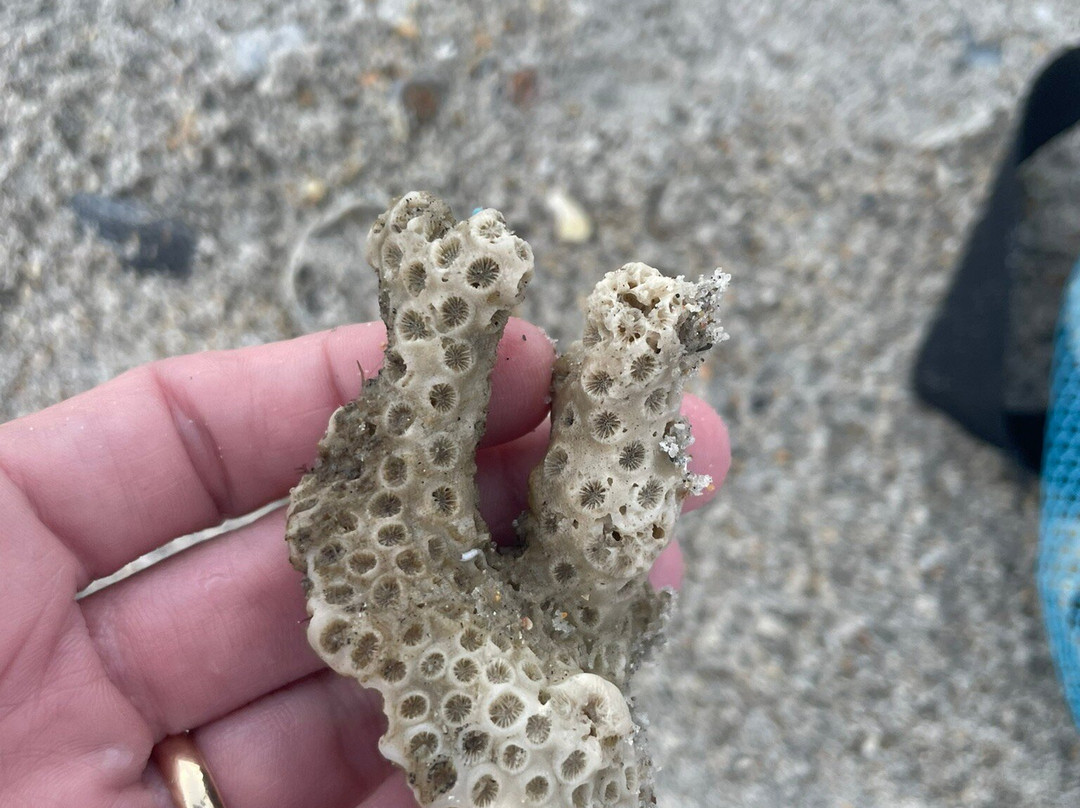 Tuck’S Water Shuttle-Topsail Beach必去景点