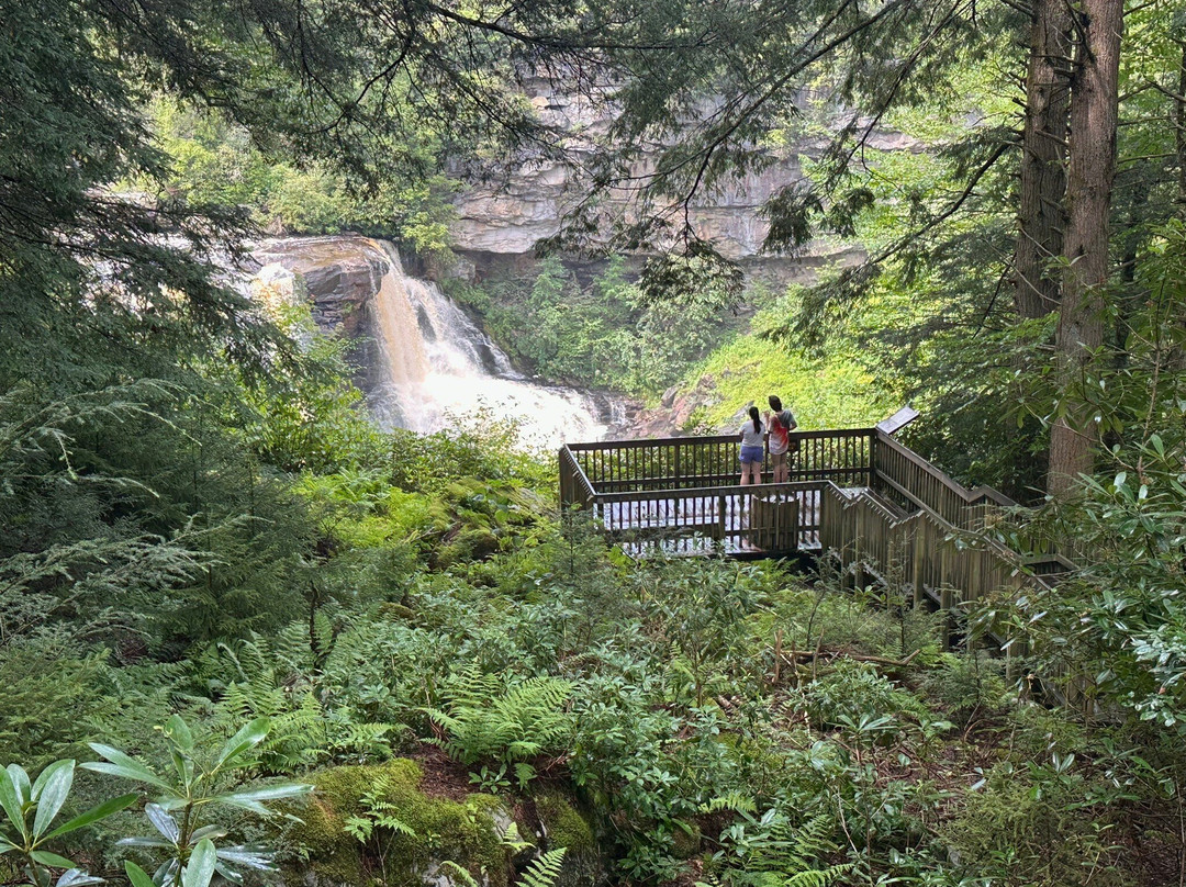 Blackwater Falls State Park-戴维斯必去景点