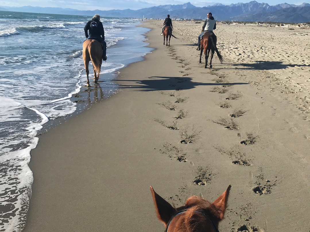 Spiaggia Della Lecciona-维亚雷焦必去景点
